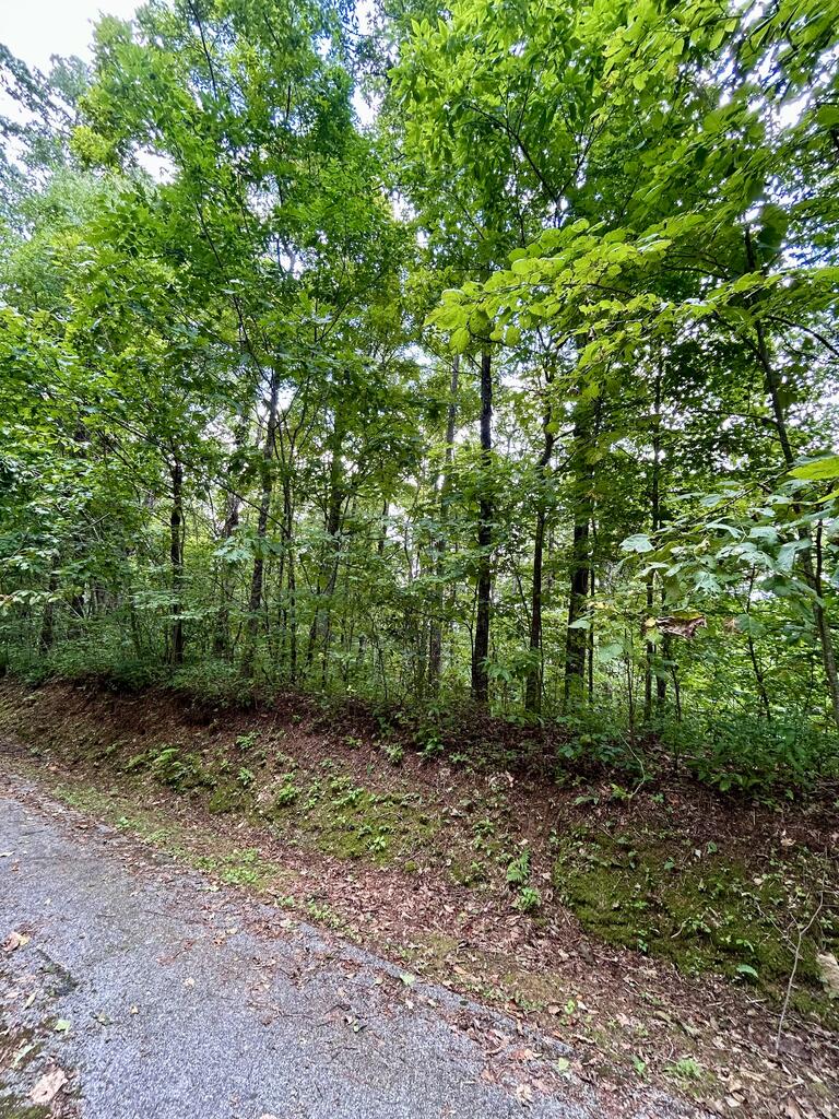 Photo of 78 &amp; 79 Road A, Bryson City, NC 28713 (MLS # 26048374)