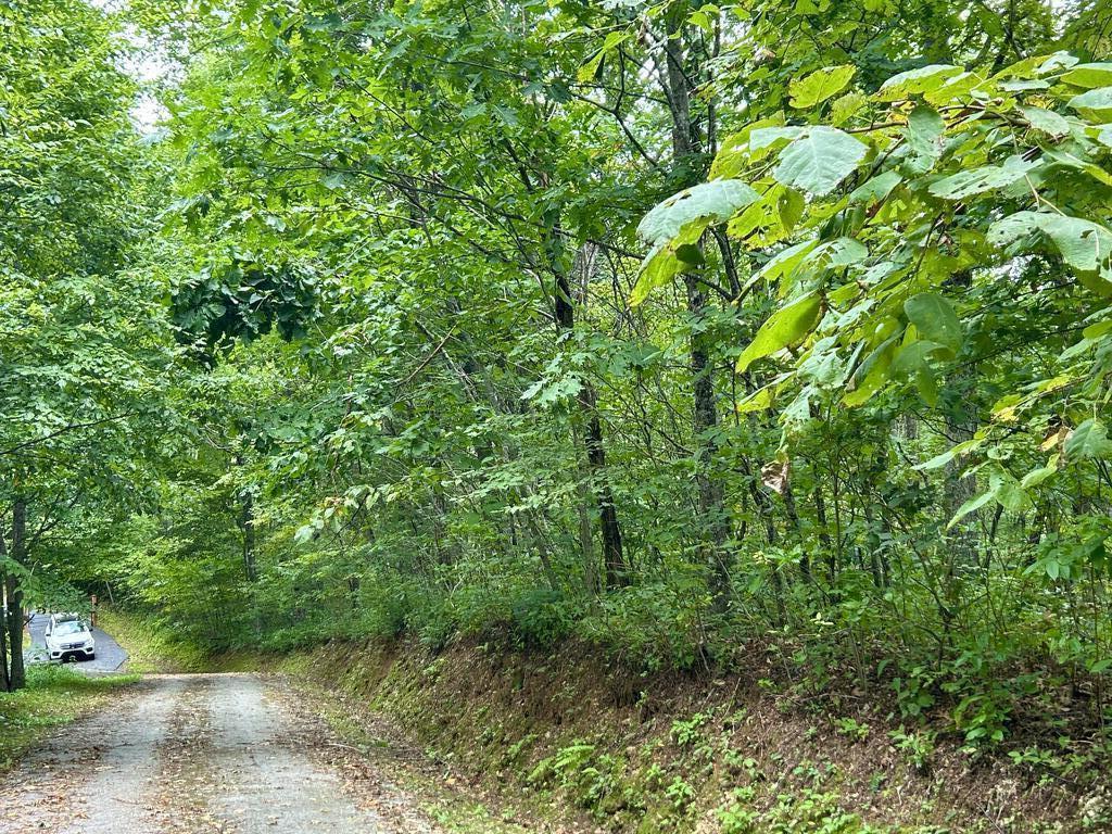 Photo of 78 &amp; 79 Road A, Bryson City, NC 28713 (MLS # 26048374)