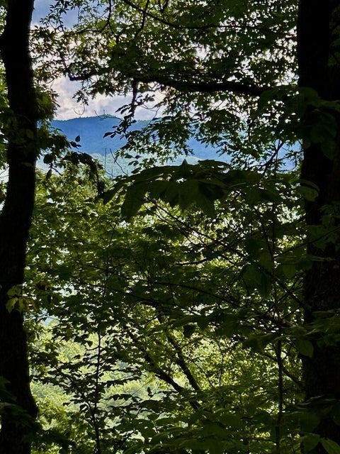 Photo of 78 & 79 Road A, Bryson City, NC 28713 (MLS # 26048374)