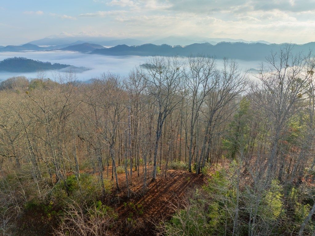 Photo of 0000 Tsali Crossing N #25, Bryson City, NC 28713 (MLS # 26045313)
