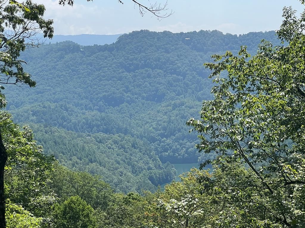 Photo of Lot 16 Tsali Crossing N, Bryson City, NC 28713 (MLS # 26031327)