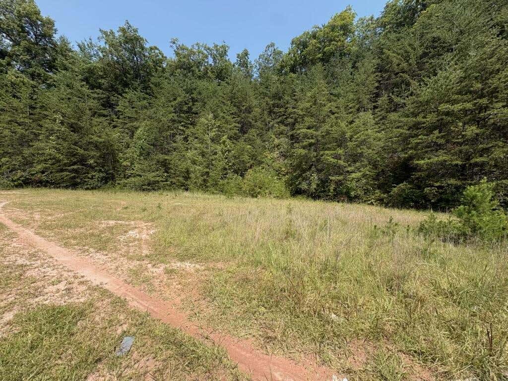 Photo of 00 Us 441 N Highway, Whittier, NC 28789 (MLS # 26048183)