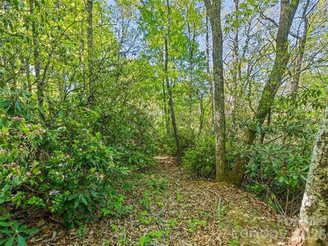 Photo of #19 Sleepy Hollow Lane, Waynesville, NC 28786 (MLS # 26047448)