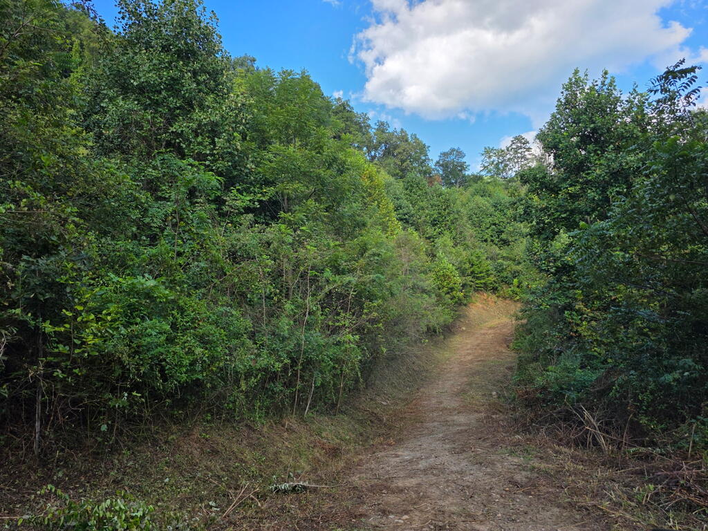 Photo of Lot 6 Ground Squirrel Dr, Whittier, NC 28786 (MLS # 26048579)