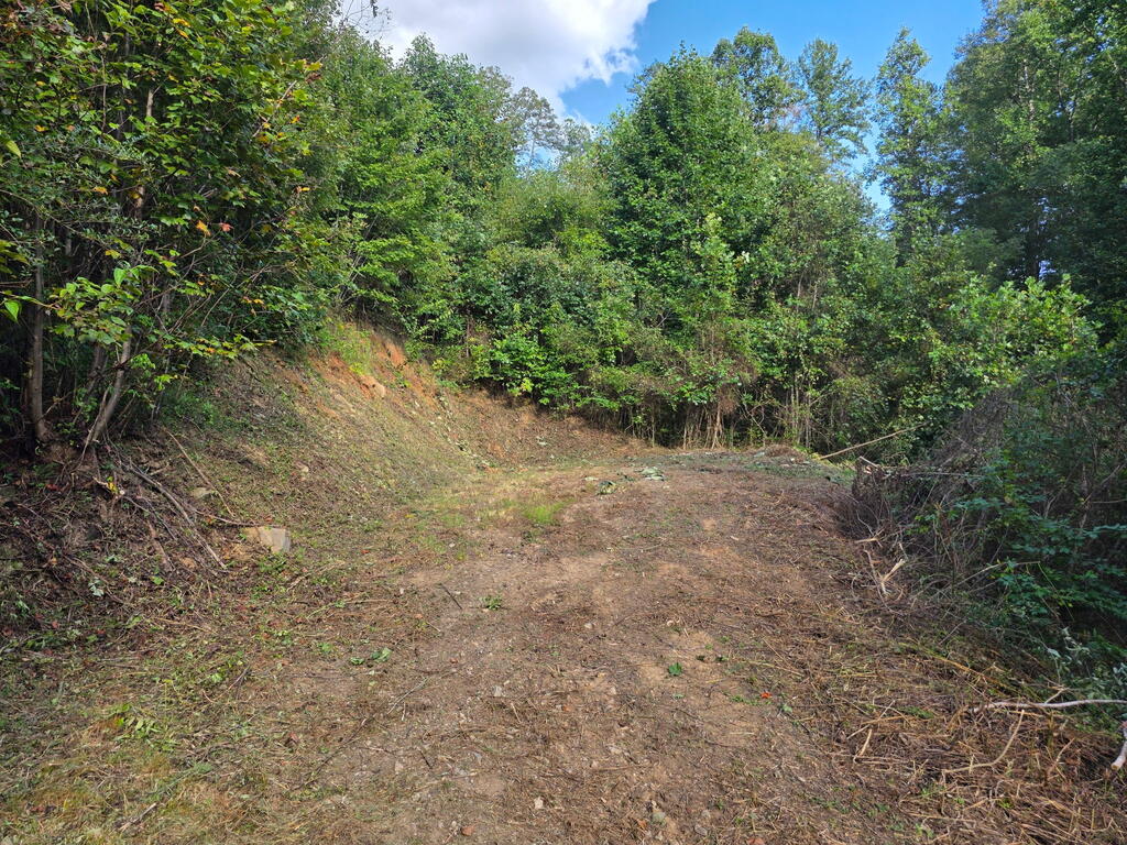 Photo of Lot 6 Ground Squirrel Dr, Whittier, NC 28786 (MLS # 26048579)