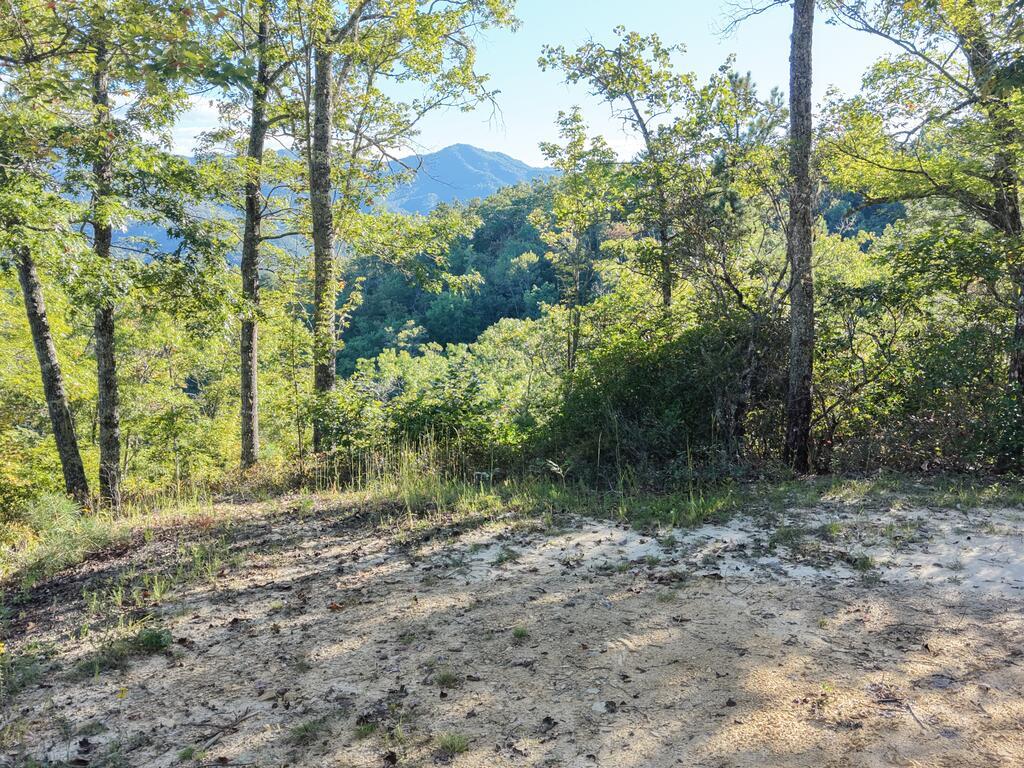 Lot 20 Tsali Crossing