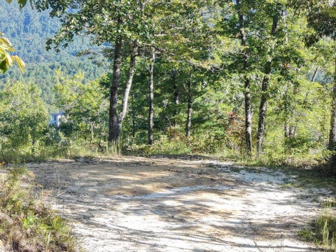 Photo of Lot 20 Tsali Crossing, Bryson City, NC 28713 (MLS # 26048666)