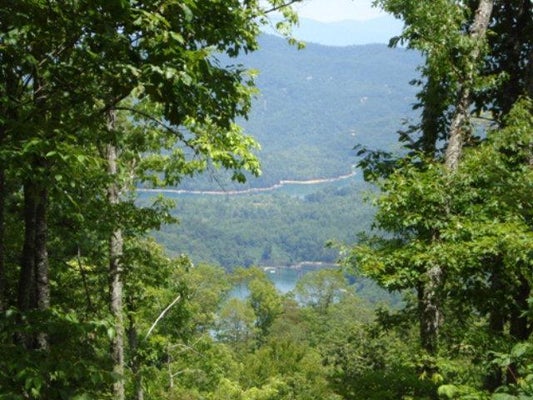 31 FONTANA TRCE, ALMOND, NC 28702 - Image 2c9f4ec52f5f9b281d3448cf3bc28ffd/3263127540