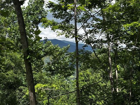 Photo of TBD Casque Riddle Road, Other, NC 28705 (MLS # 26047523)