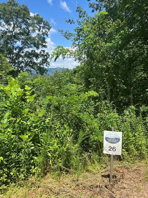 Photo of Lot 26 Blaine Branch Dr, Franklin, NC 28734 (MLS # 26041703)