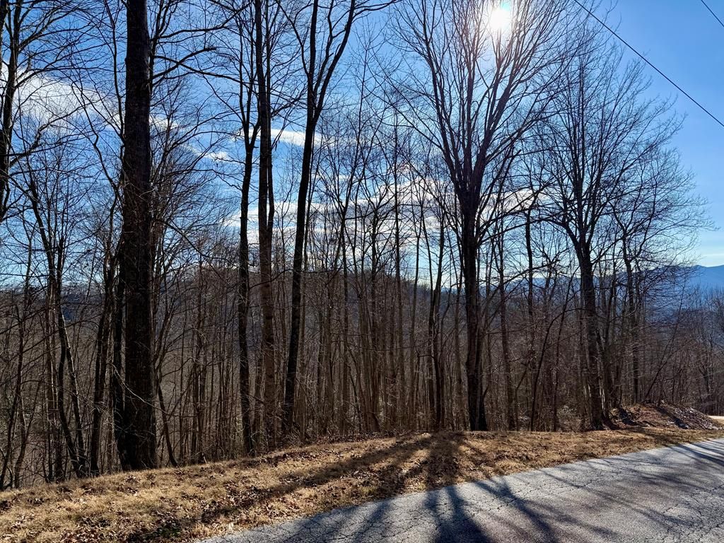 Photo of 576 Grizzly Ridge, Bryson City, NC 28713 (MLS # 26043101)