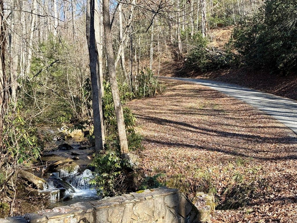 Photo of 576 Grizzly Ridge, Bryson City, NC 28713 (MLS # 26043101)