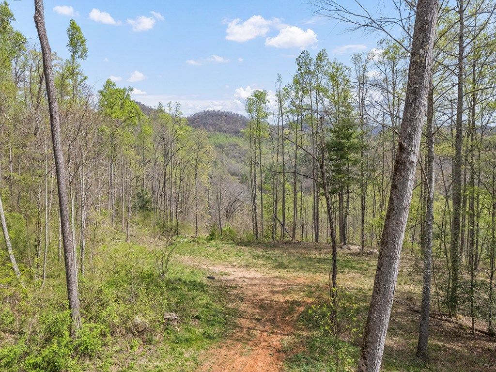 Photo of 00 Willow Lane, Robbinsville (Graham), NC 28771 (MLS # 26046941)