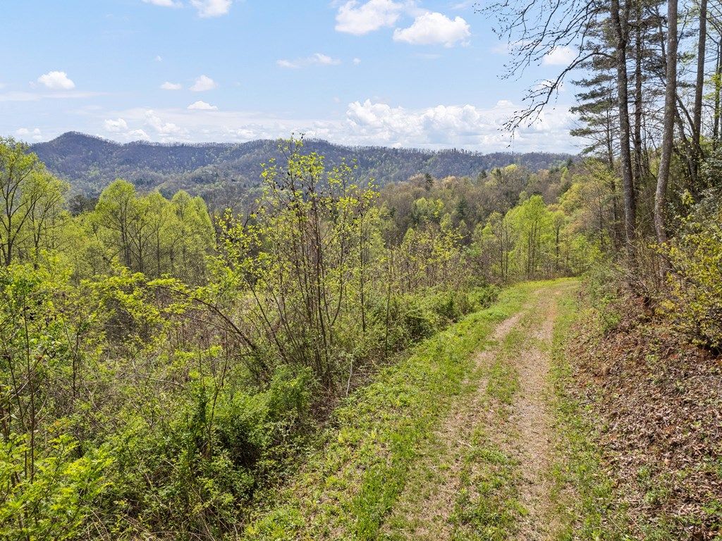 Photo of 00 Willow Lane, Robbinsville (Graham), NC 28771 (MLS # 26046941)