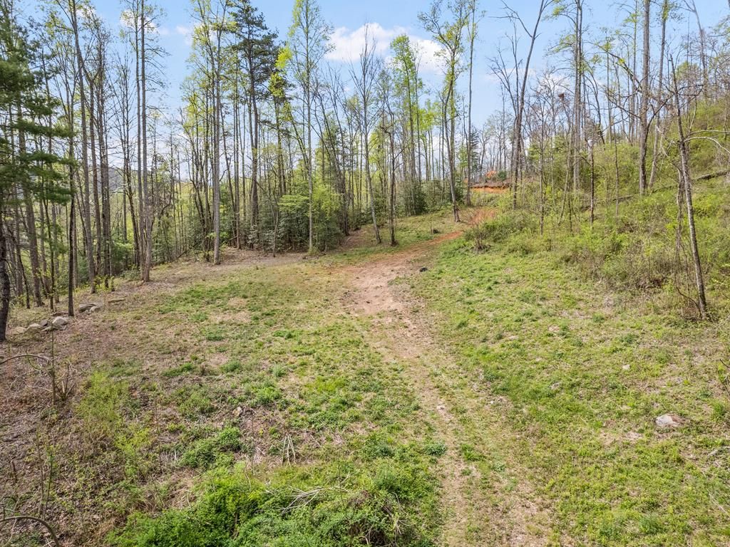 Photo of 00 Willow Lane, Robbinsville (Graham), NC 28771 (MLS # 26046941)