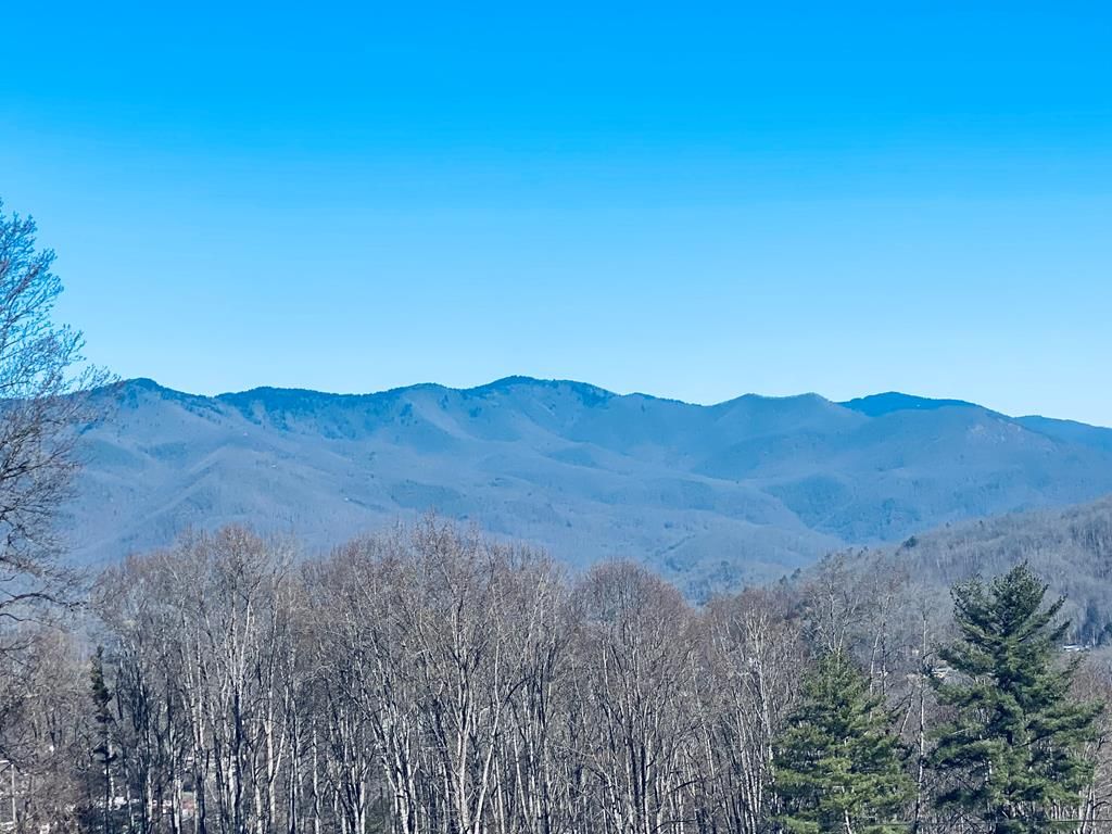 Photo of 42 Nowhere Dr, Sylva, NC 28779 (MLS # 26042859)