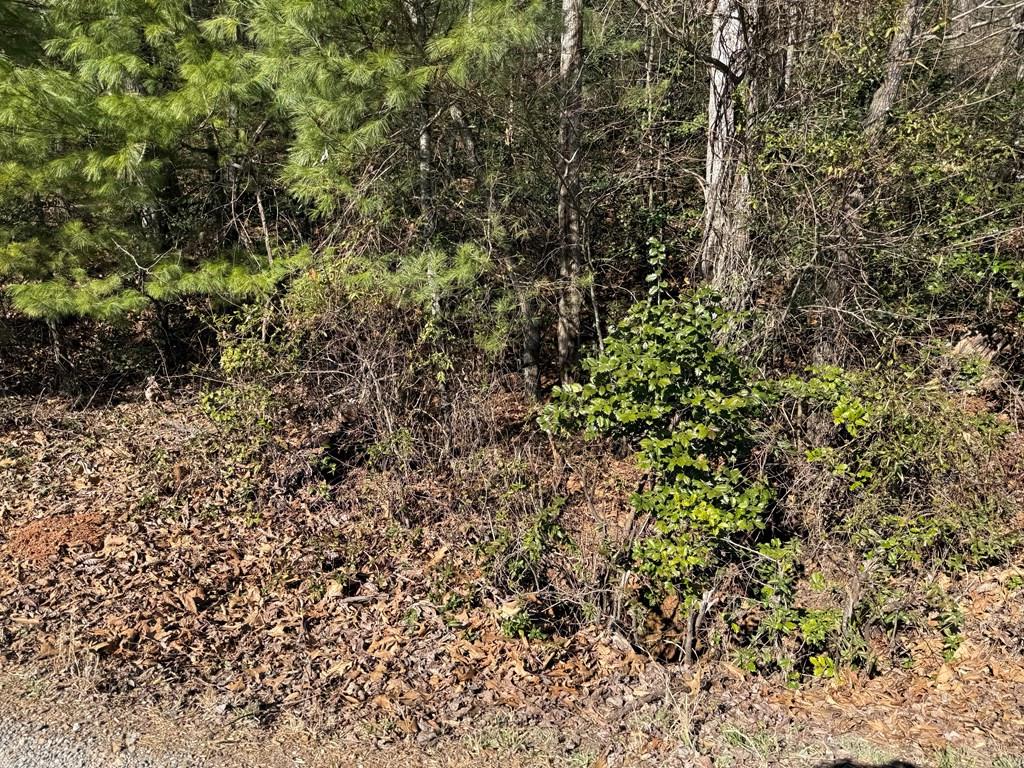 0 Coweeta Church Rd