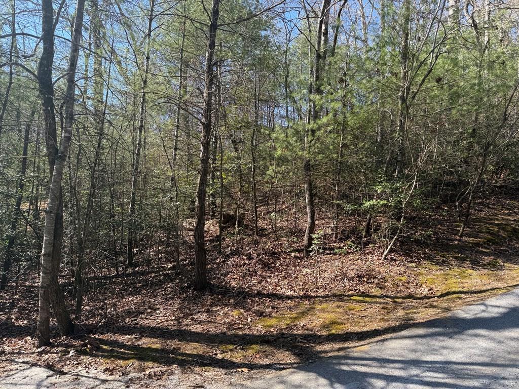0 Coweeta Church Rd