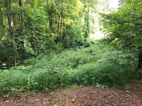 Photo of Lot S-16 Town Mountain Drive, Franklin, NC 28734 (MLS # 26036979)