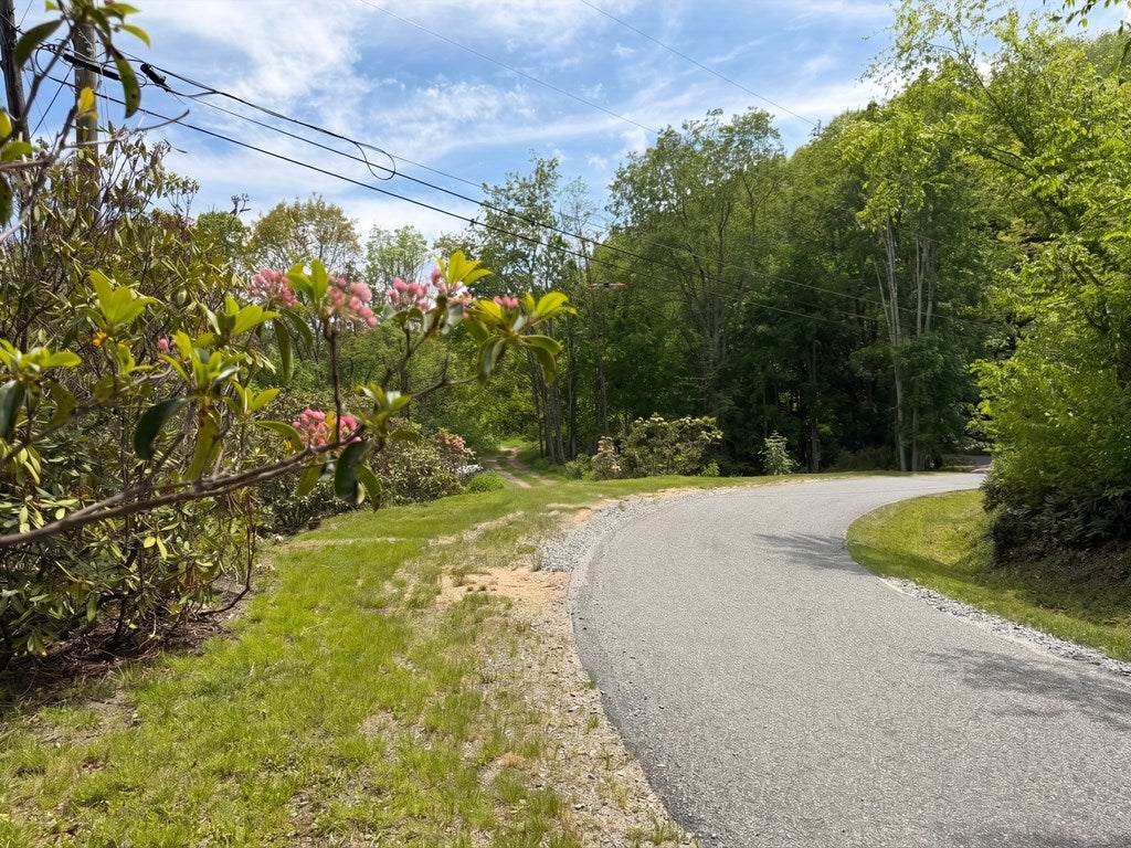 Lot 00 Leatherwood Road