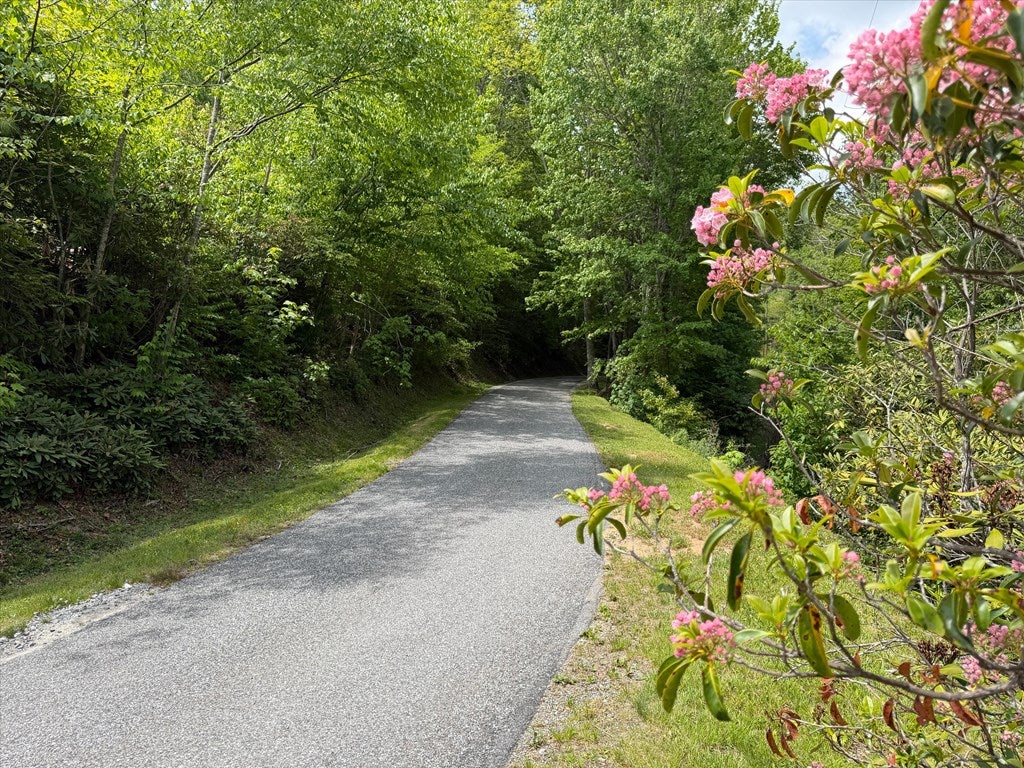 Lot 00 Leatherwood Road