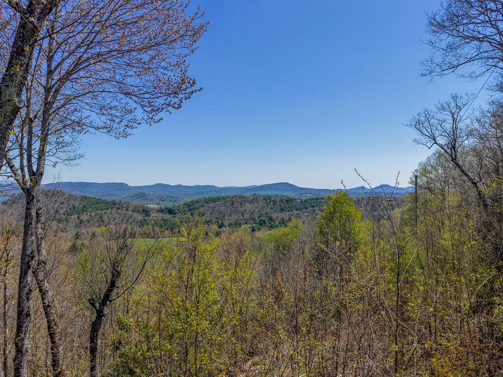 623 Buggy Barn Rd
