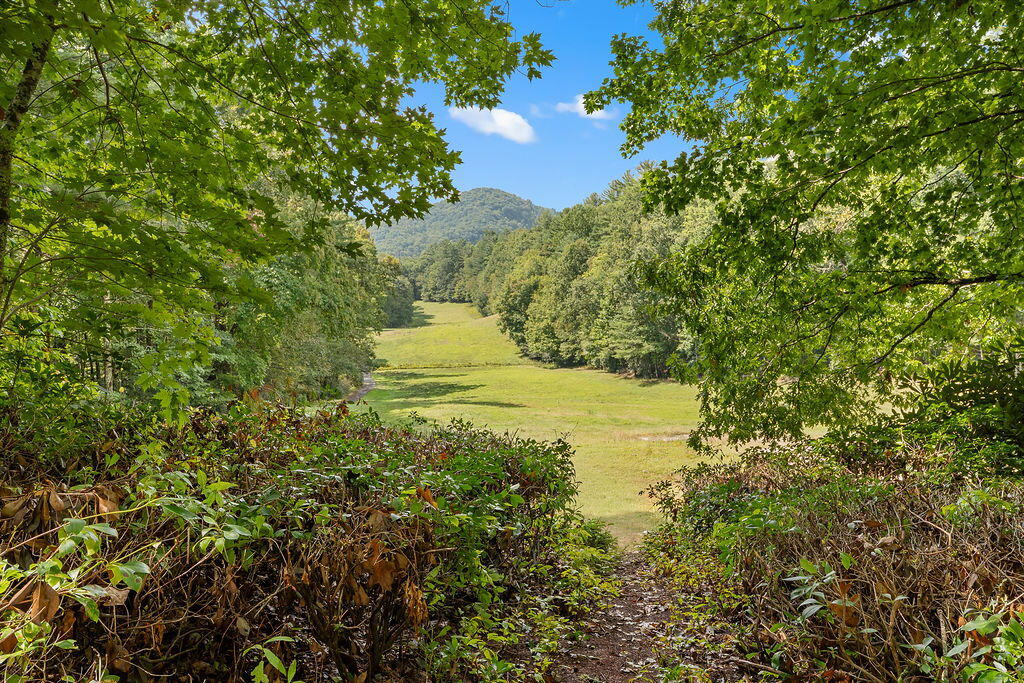 Photo of 120 Holly Forest Ct, Sapphire, NC 28774 (MLS # 26048596)