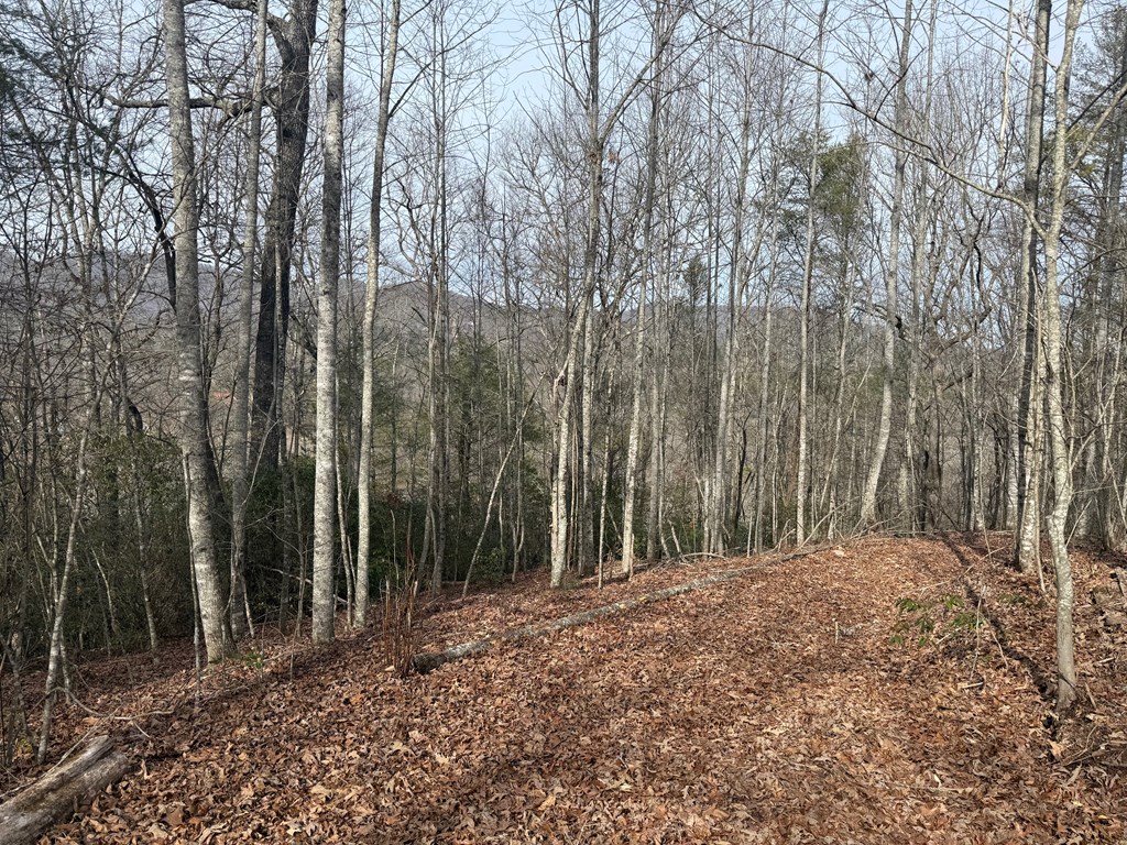 10, 11 River Run