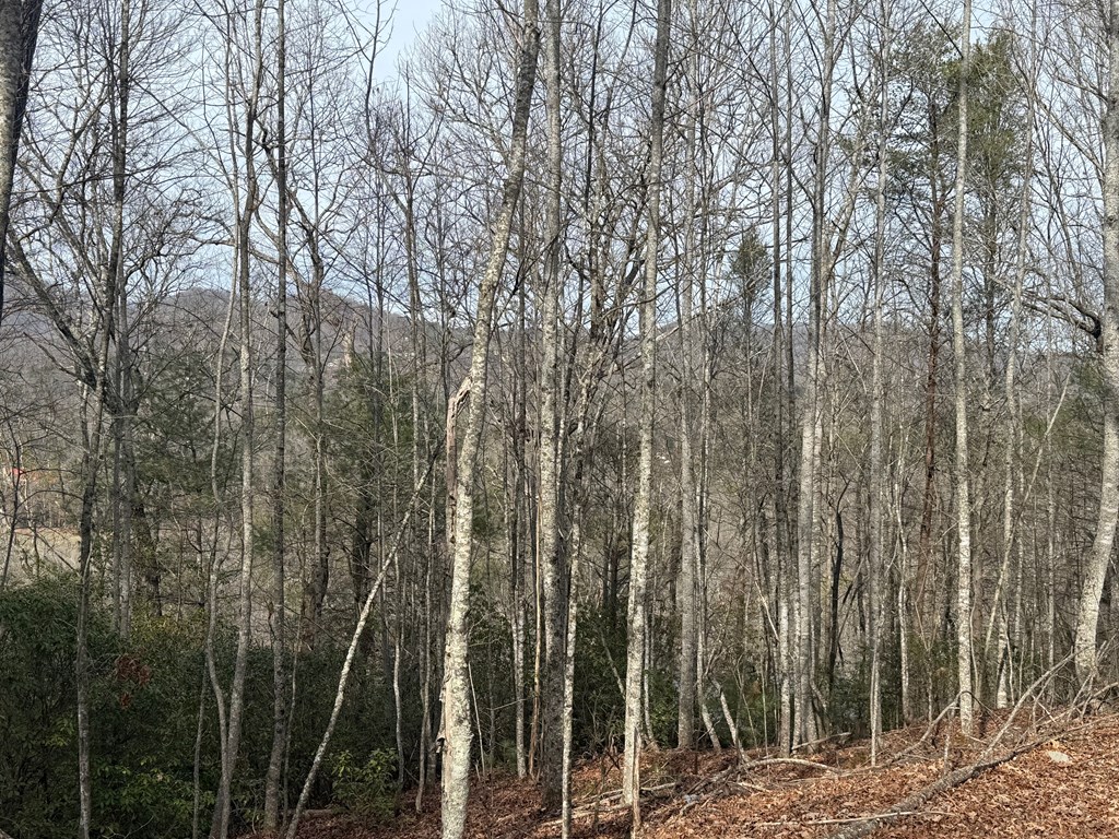 10, 11 River Run