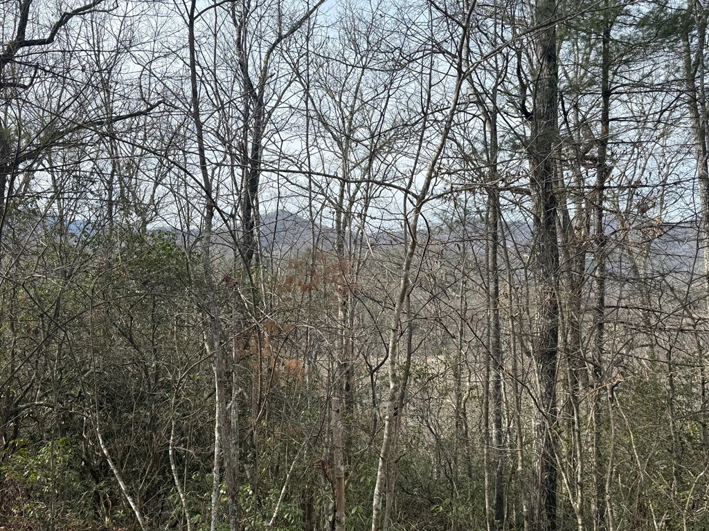 10, 11 River Run