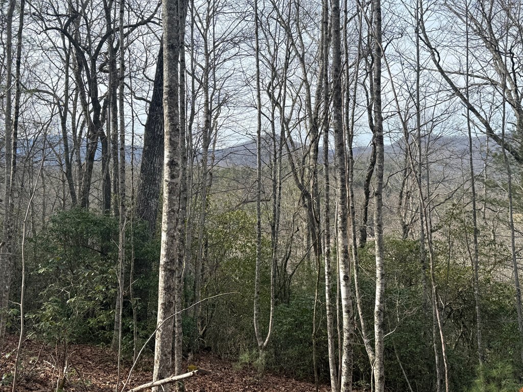 10, 11 River Run