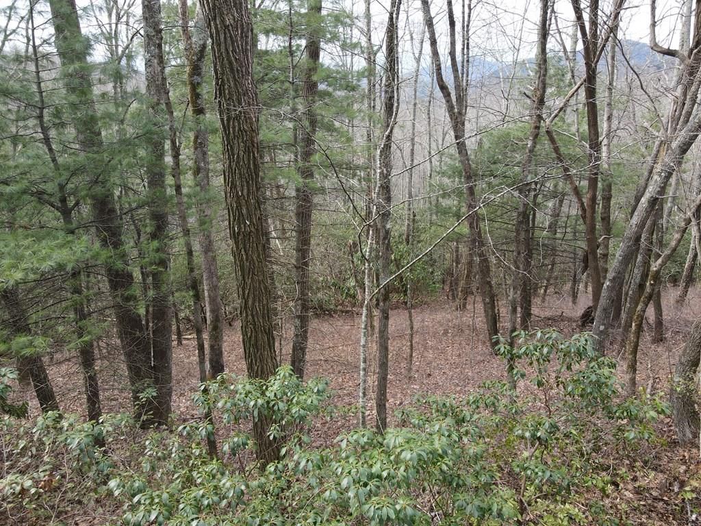 Photo of SR1121 Breedlove Rd, Glenville, NC 28736 (MLS # 26040756)