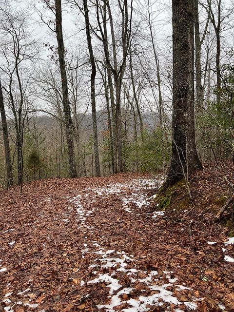 Photo of 0 Hornet Drive, Whittier, NC 28789 (MLS # 26039729)