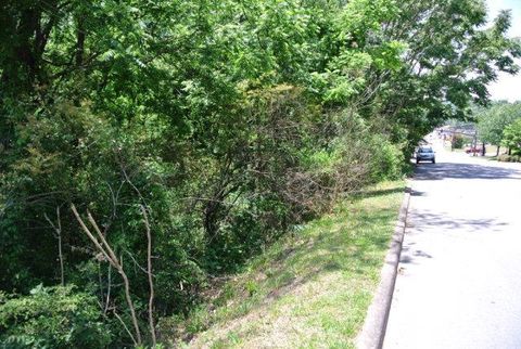 Photo of 00 Palmer, Franklin, NC 28734 (MLS # 26042672)