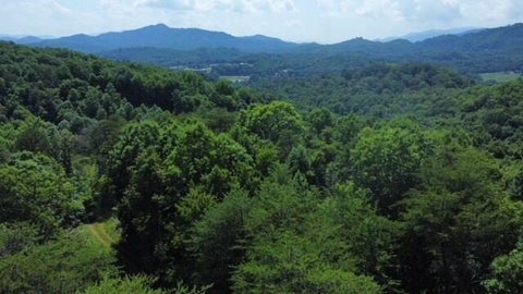 Photo of 147 Ball Road Lot B, Bryson City, NC 28713 (MLS # 26048519)