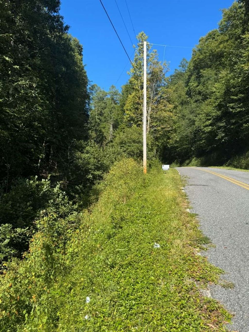 Photo of 0 Locust Creek Rd, Sylva, NC 28779 (MLS # 26042824)