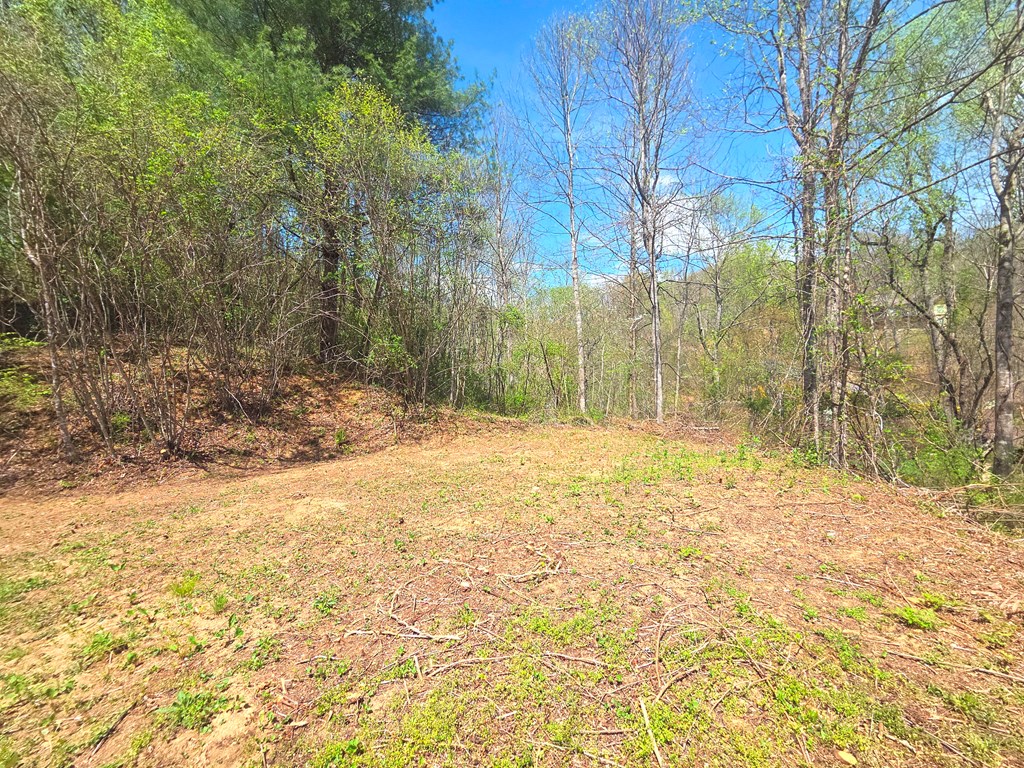 50 Turtle Rock Ln Lt 6