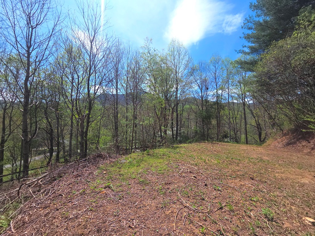 50 Turtle Rock Ln Lt 6