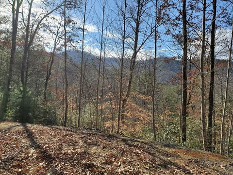 Photo of Lot 25 Cliff View Drive, Franklin, NC 28734 (MLS # 26035482)