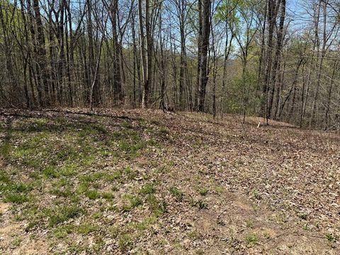 Photo of 1050 Hemlock Falls, Franklin, NC 28734 (MLS # 26040580)