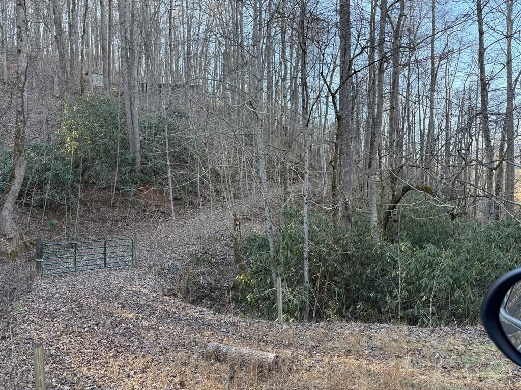 Photo of 00 Mcmillan Road, Bryson City, NC 28713 (MLS # 26039826)