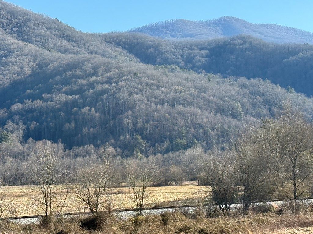 Photo of 00 Mcmillan Road, Bryson City, NC 28713 (MLS # 26039826)