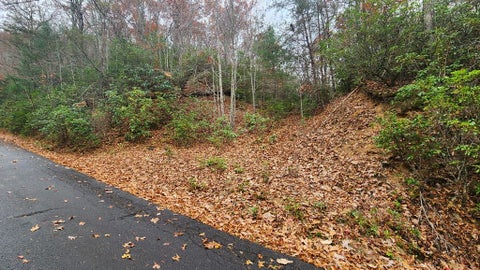Featured picture for the property 26035196