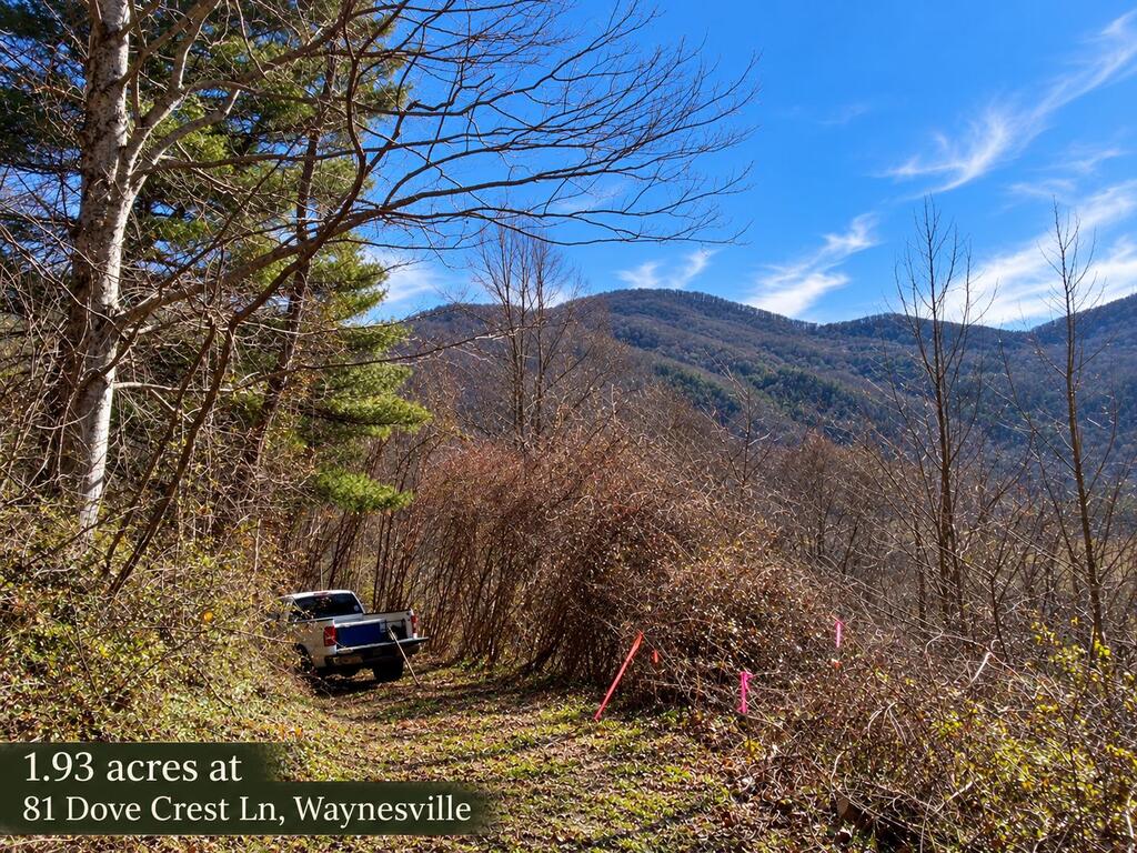 Photo of 81 Dove Crest Ln, Waynesville, NC 28786 (MLS # 26048577)