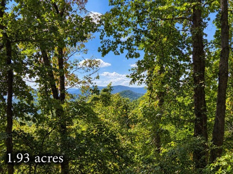 Photo of 81 Dove Crest Ln, Waynesville, NC 28786 (MLS # 26048577)