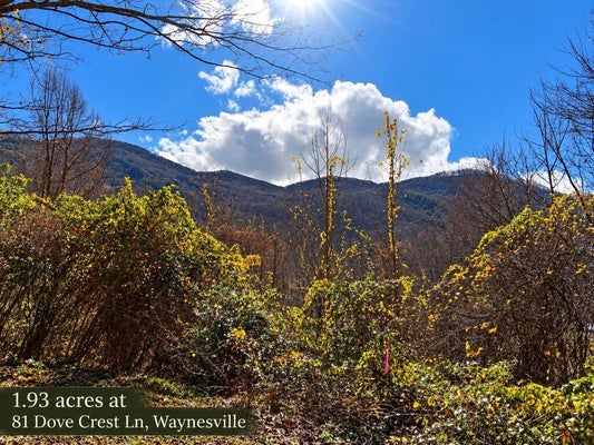 81 DOVE CREST LN, WAYNESVILLE, NC 28786 - Image 352ce31005b2d4f1db3be6a7e4daf758/1871280064