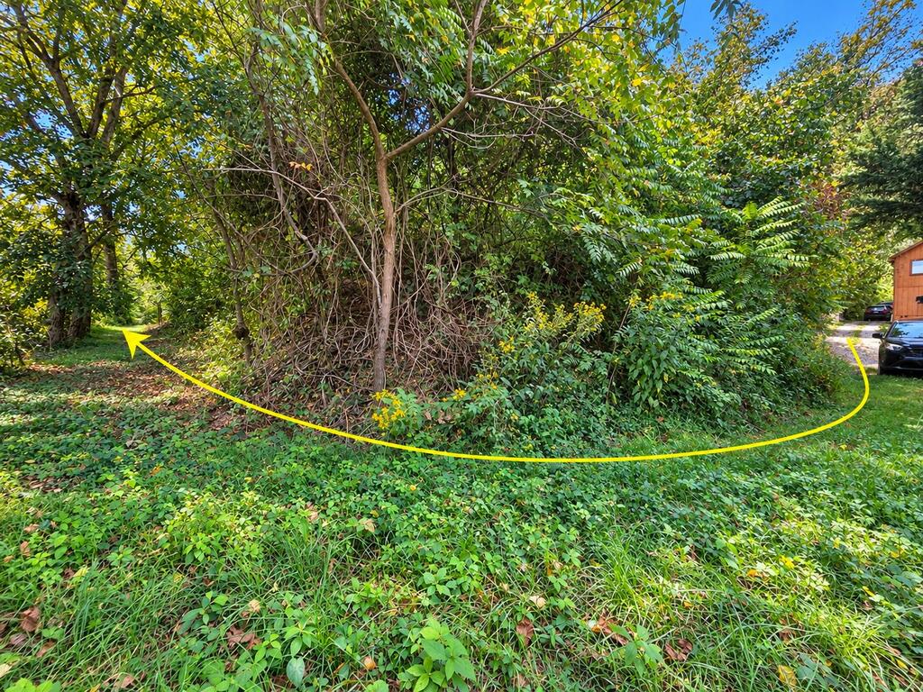 81 Dove Crest Ln