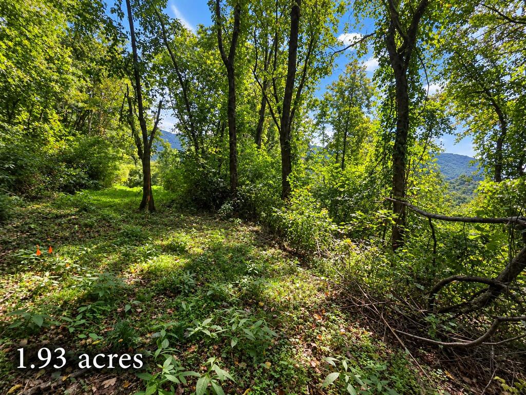 81 Dove Crest Ln