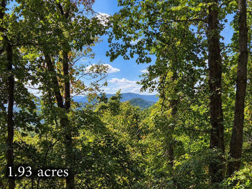 Photo of 81 Dove Crest Ln, Waynesville, NC 28786 (MLS # 26048577)