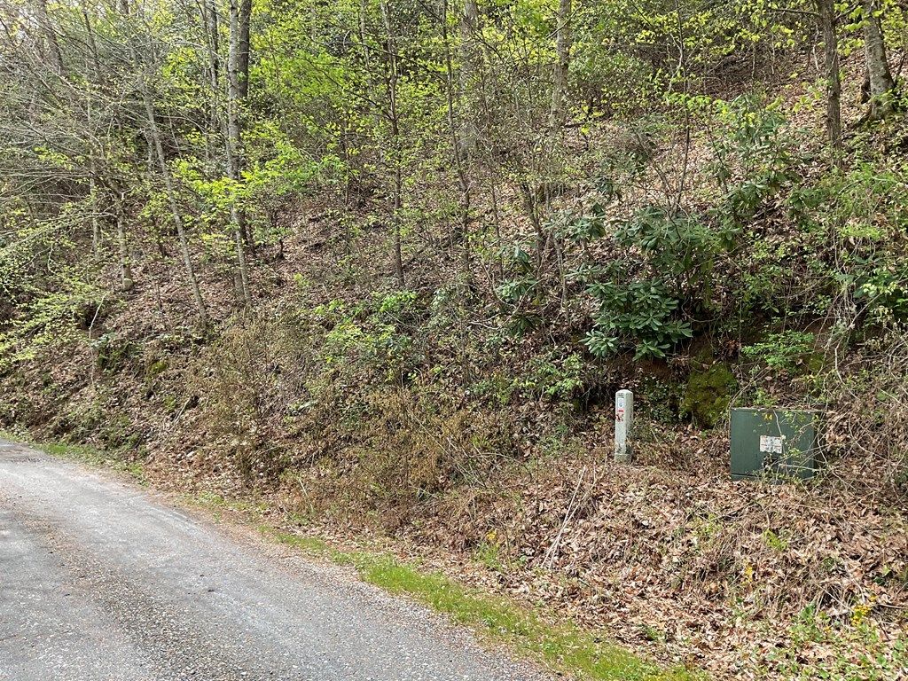 Photo of Lt 17 Amaryllis Trail, Cullowhee, NC 28723 (MLS # 26040785)